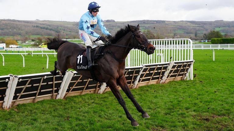 Soldier Reeves sparkled at Cheltenham
