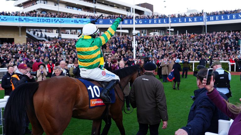 Turners Novices' Hurdle hero The New Lion will take on Constitution Hill