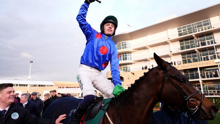 Wodhooh won at the Cheltenham Festival in March