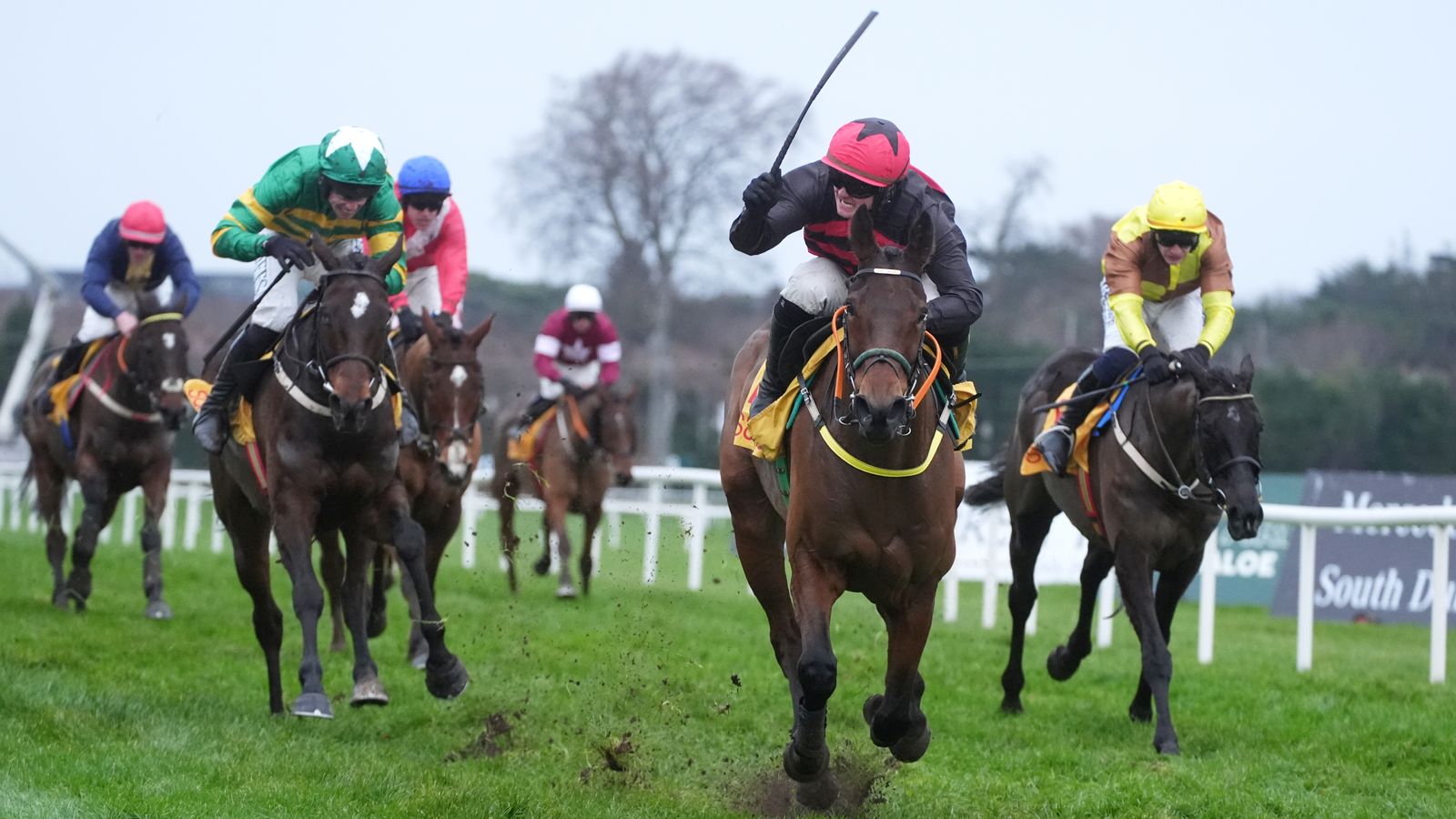 Affordale Fury brushes aside big names to secure Savills Chase title at Leopardstown