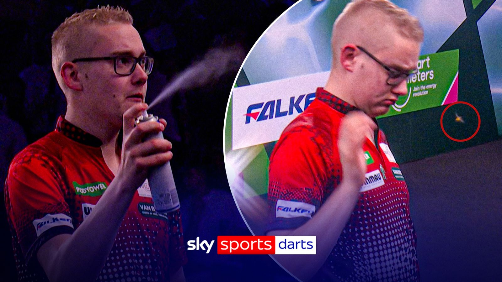 Jurjen van der Velde attempts to stop Ally Pally wasp with SPRAY!