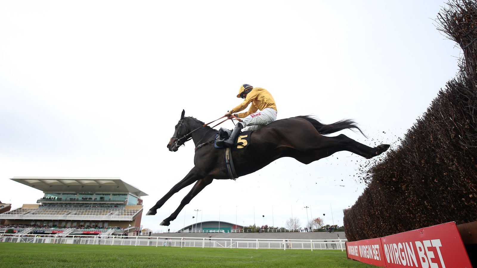 Cheltenham tips: Imperial Saint fancied to outrun his odds in December Gold Cup
