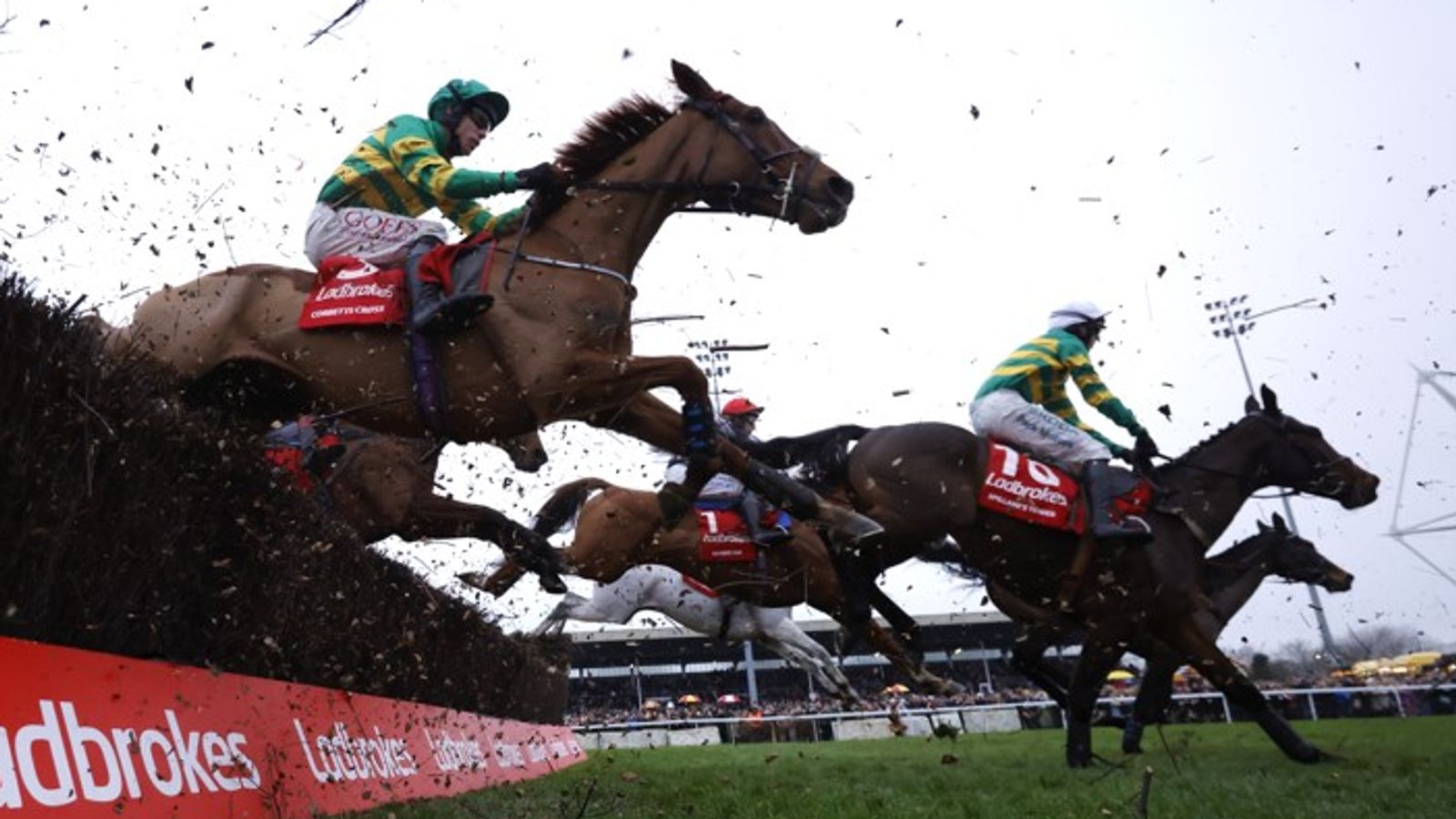 King George VI Chase: James Flaherty's big race horse-by-horse guide
