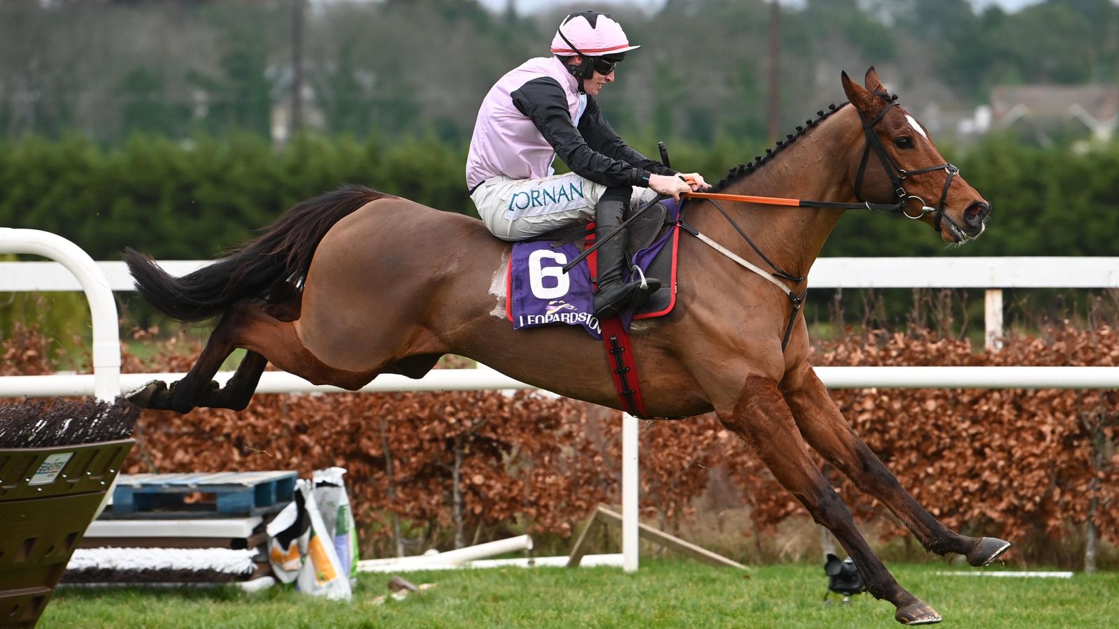 Teahupoo sweeps to Christmas Hurdle success