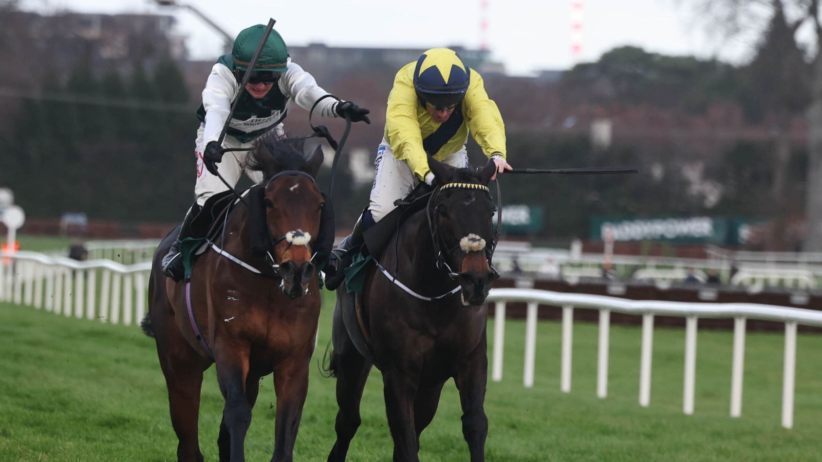 Solness denies Marine Nationale in Leopardstown thriller