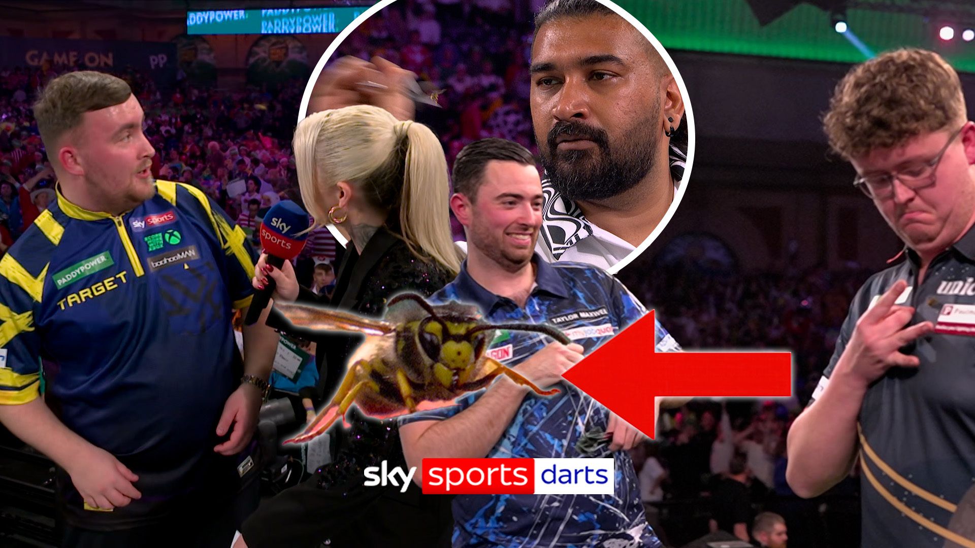 'Welcome home!'  -  The best of the Ally Pally wasp so far!