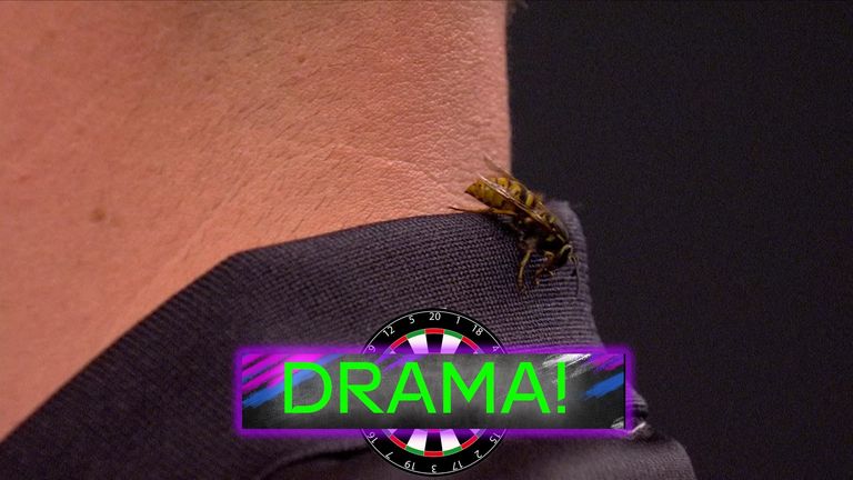 Ross Smith won the third set against Andreas Harrysson, despite having a wasp on his shoulder during the leg!