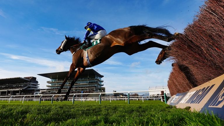 Glengouly heads for home at Cheltenham