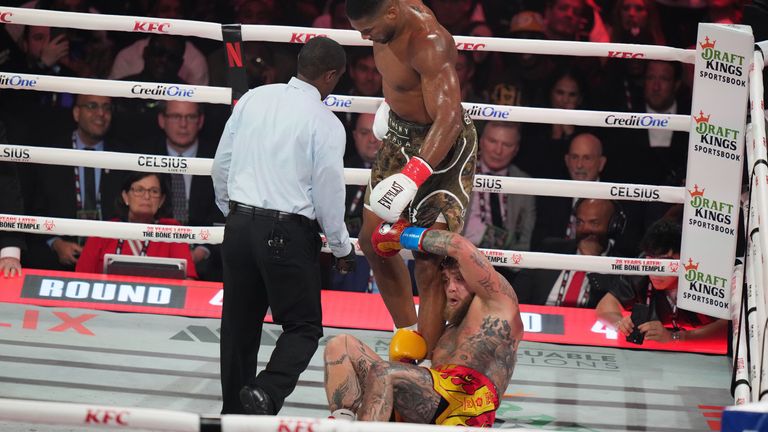 Jake Paul falls on the canvas after being hit by Anthony Joshua during their heavyweight boxing match (AP Photo/Lynne Sladky)