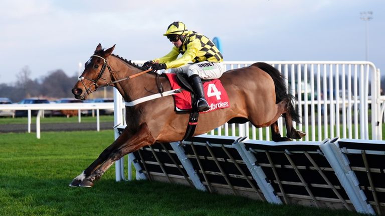 Sir Gino won the Christmas Hurdle