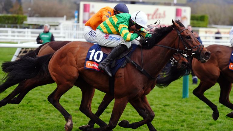 Il team di Skelton rimane fiducioso di un'ulteriore gloria al Festival di Cheltenham con The New Lion.