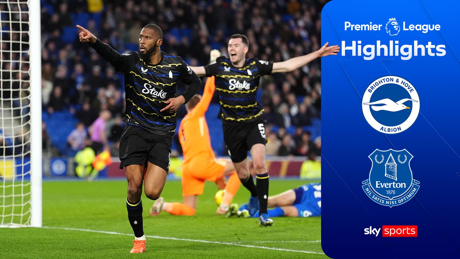 Brighton 1-1 Everton | Premier League highlights