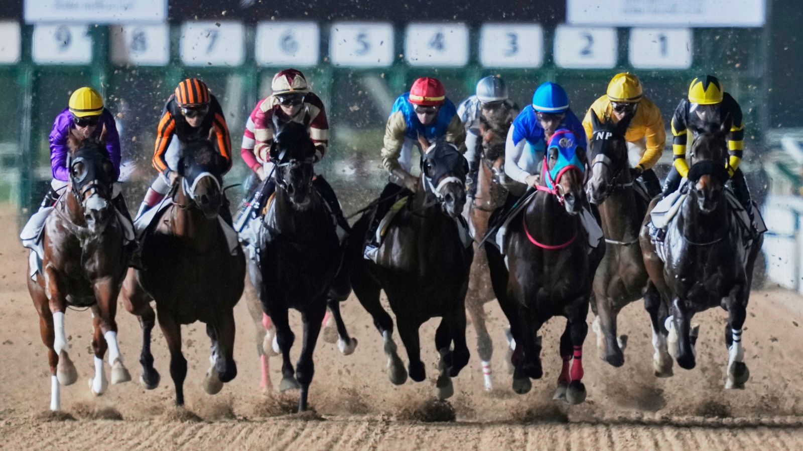 Today on Sky Sports Racing: Quddwah headlines in Zabeel Mile at Meydan