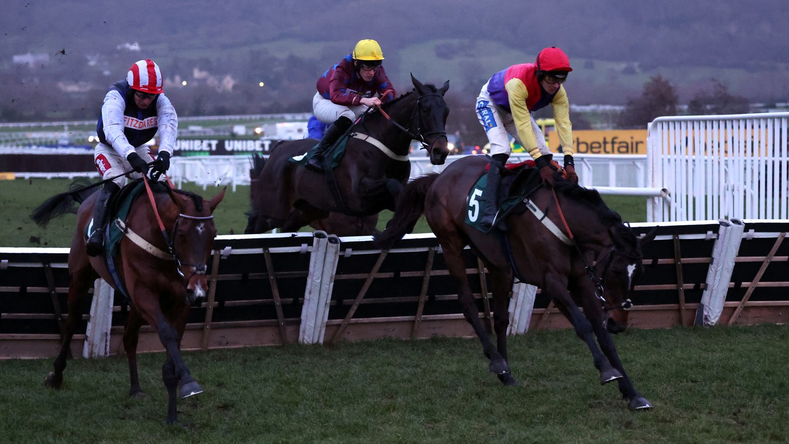 Harry Redknapp-owned Taurus Bay denied Grade 2 win in controversial Cheltenham finale