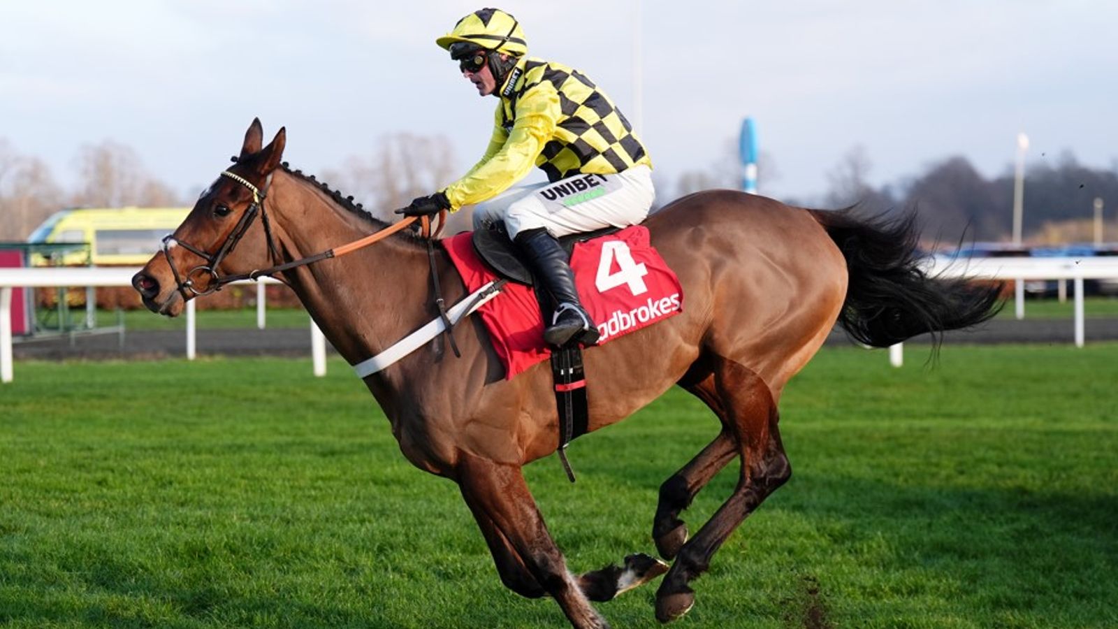 Sir Gino: Nicky Henderson confirms fractured pelvis for stable star