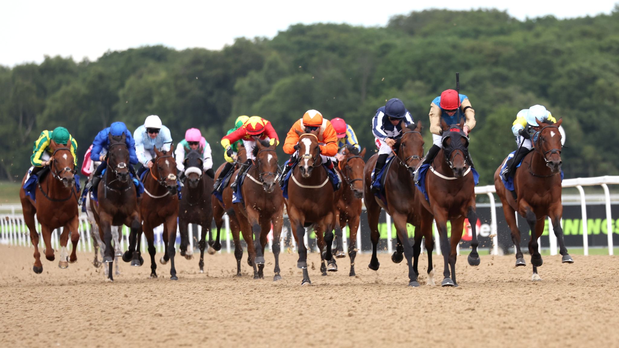 skysports.com - Today on Sky Sports Racing: Newcastle and Southwell