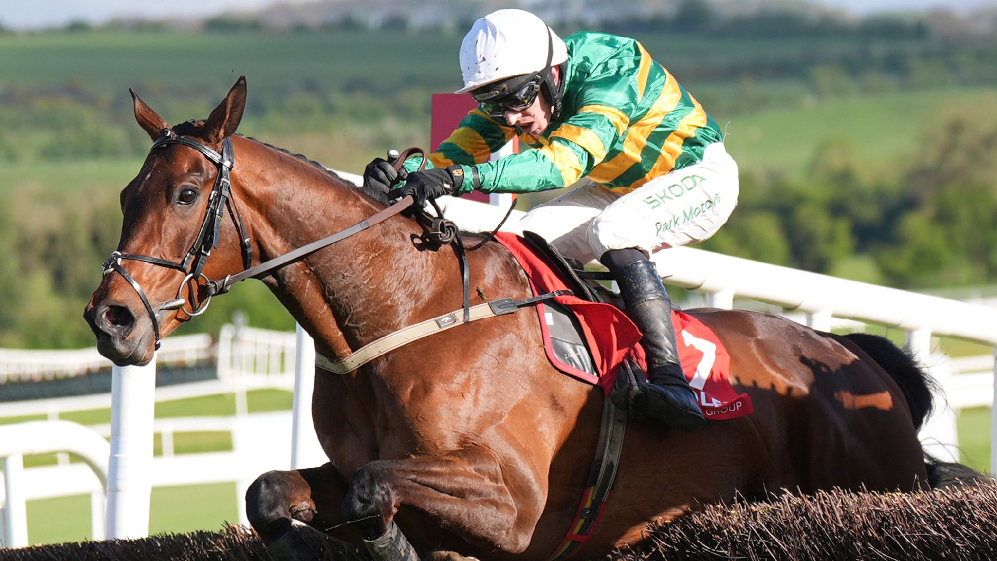 Cheltenham tips: Spillane's Tower fancied to see off Grey Dawning on ...