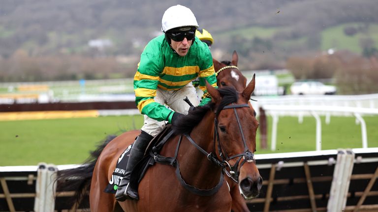 The New Lion won the Unibet Hurdle