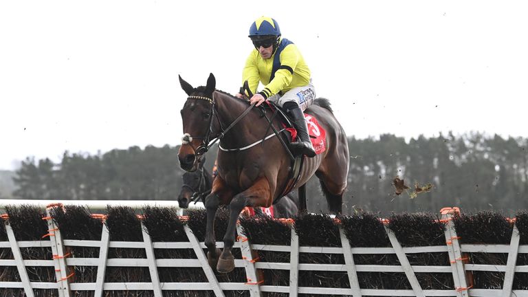 William Munny potrebbe andare a Punchestown il prossimo (Foto: Healy Racing)
