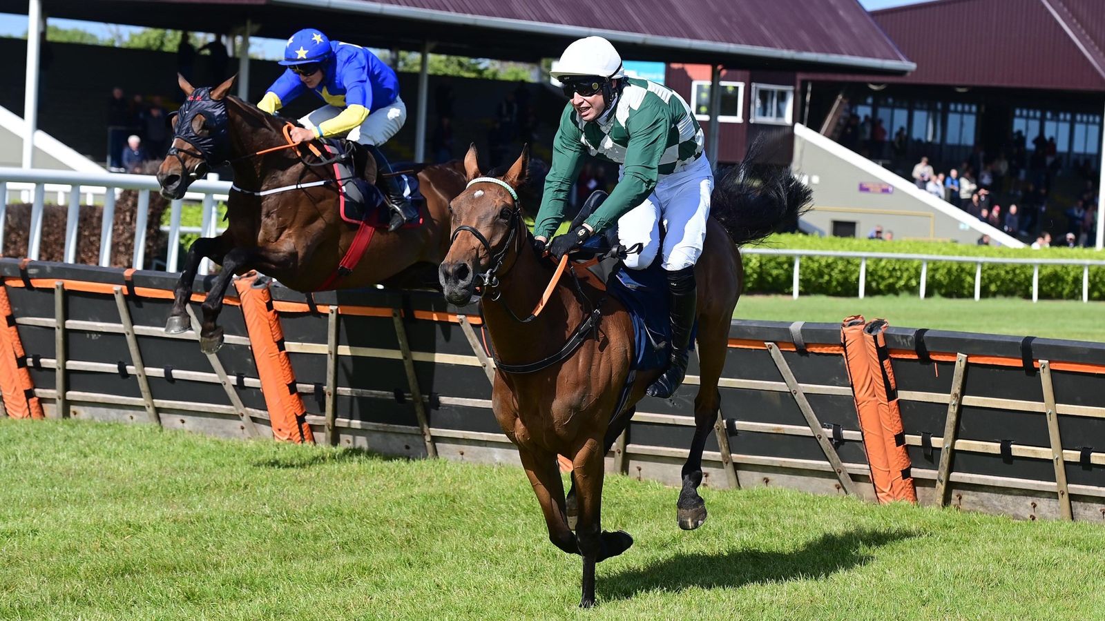 Philip Byrnes: Jockey cleared of deliberately jumping off Redwood Queen at Wexford
