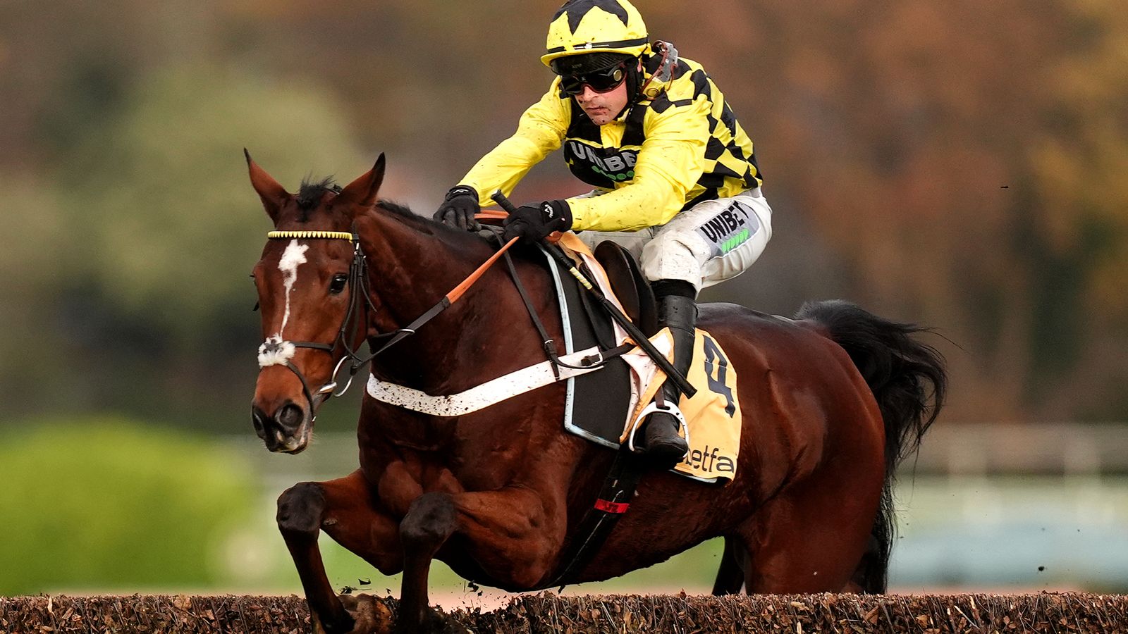 Today on Sky Sports Racing: Arkle favourite Lulamba tackles open company for first time on Super Saturday at Newbury