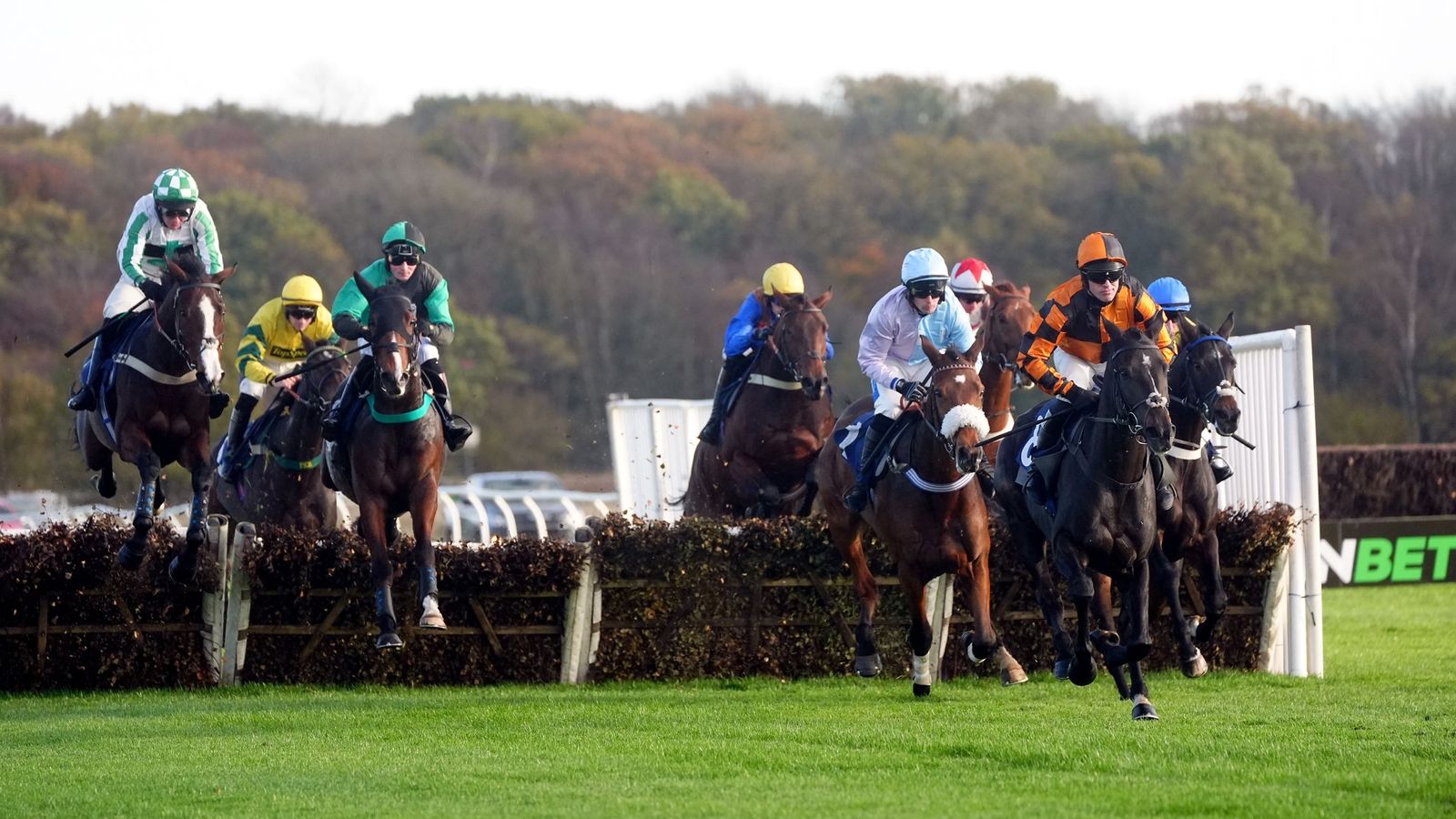 Vandaag op Sky Sports Racing: Passing Pleasure lijkt een hattrick te voltooien in Newcastle, waarbij Wolverhampton dinsdag ook live is | Racenieuws