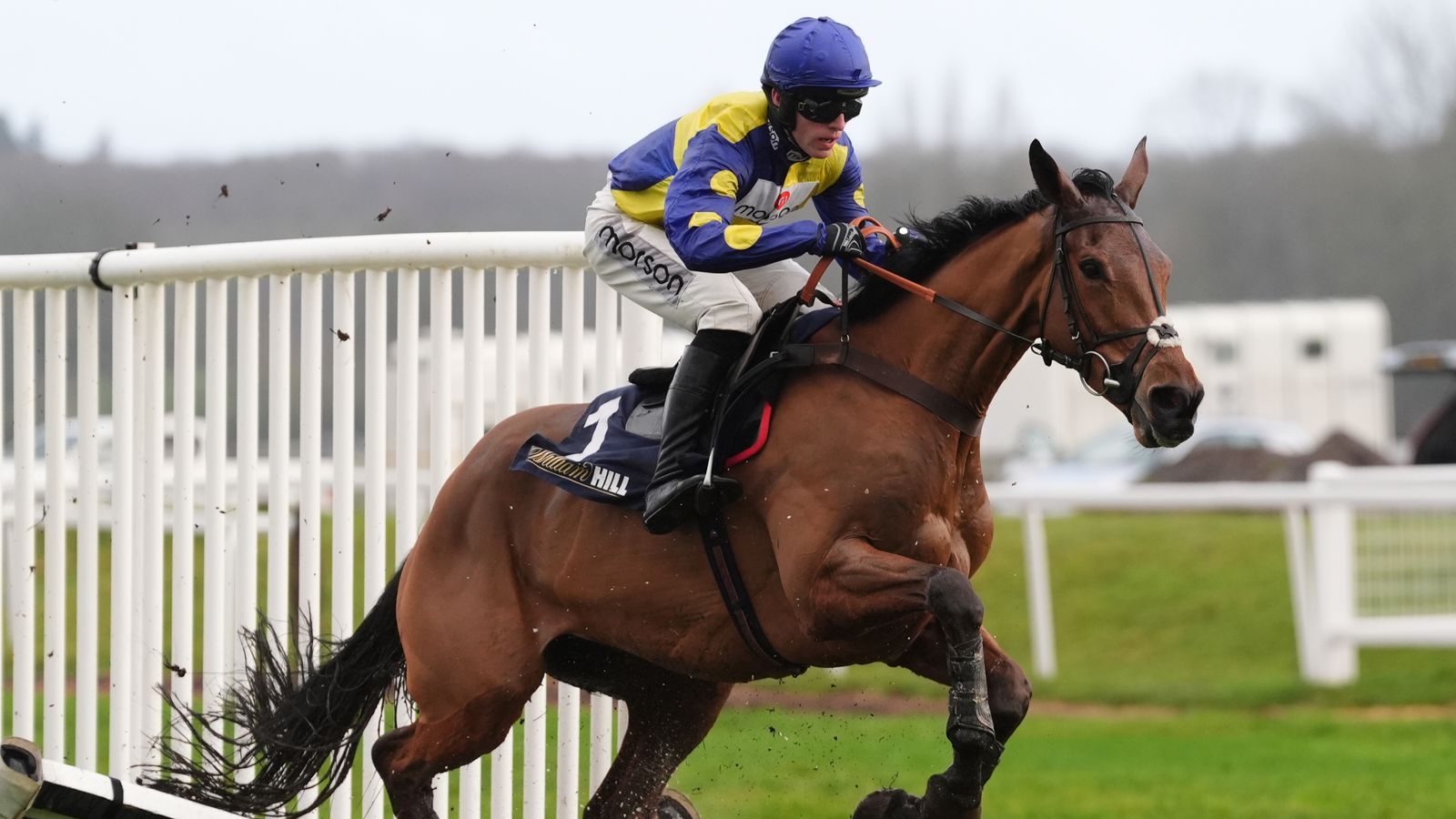 Cheltenham Festival: Tutti Quanti has Paul Nicholls dreaming of Champion Hurdle after Newbury demolition job