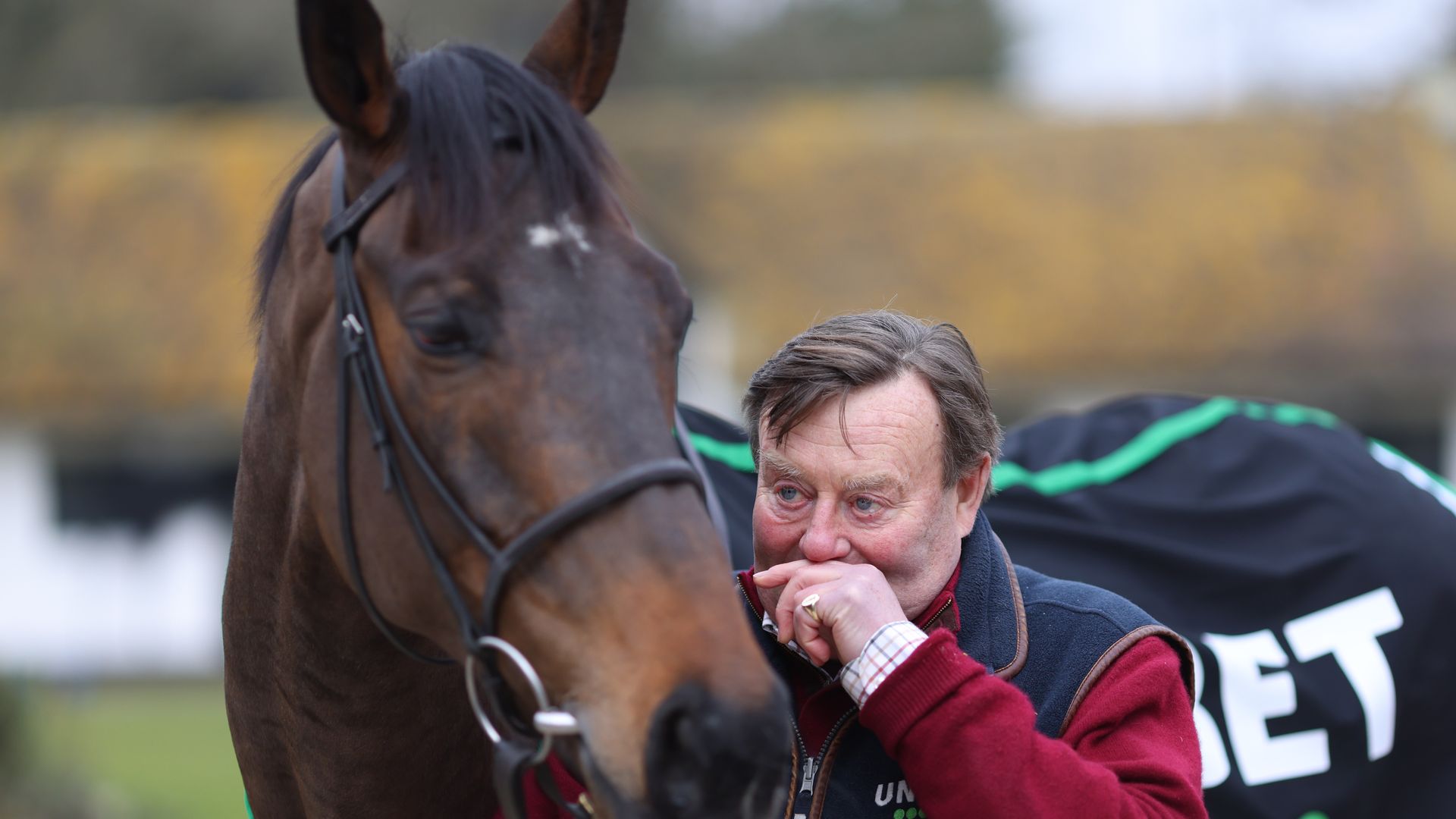 Constitution Hill: Has Nicky Henderson made the right call to end Champion Hurdle hopes and switch to flat?