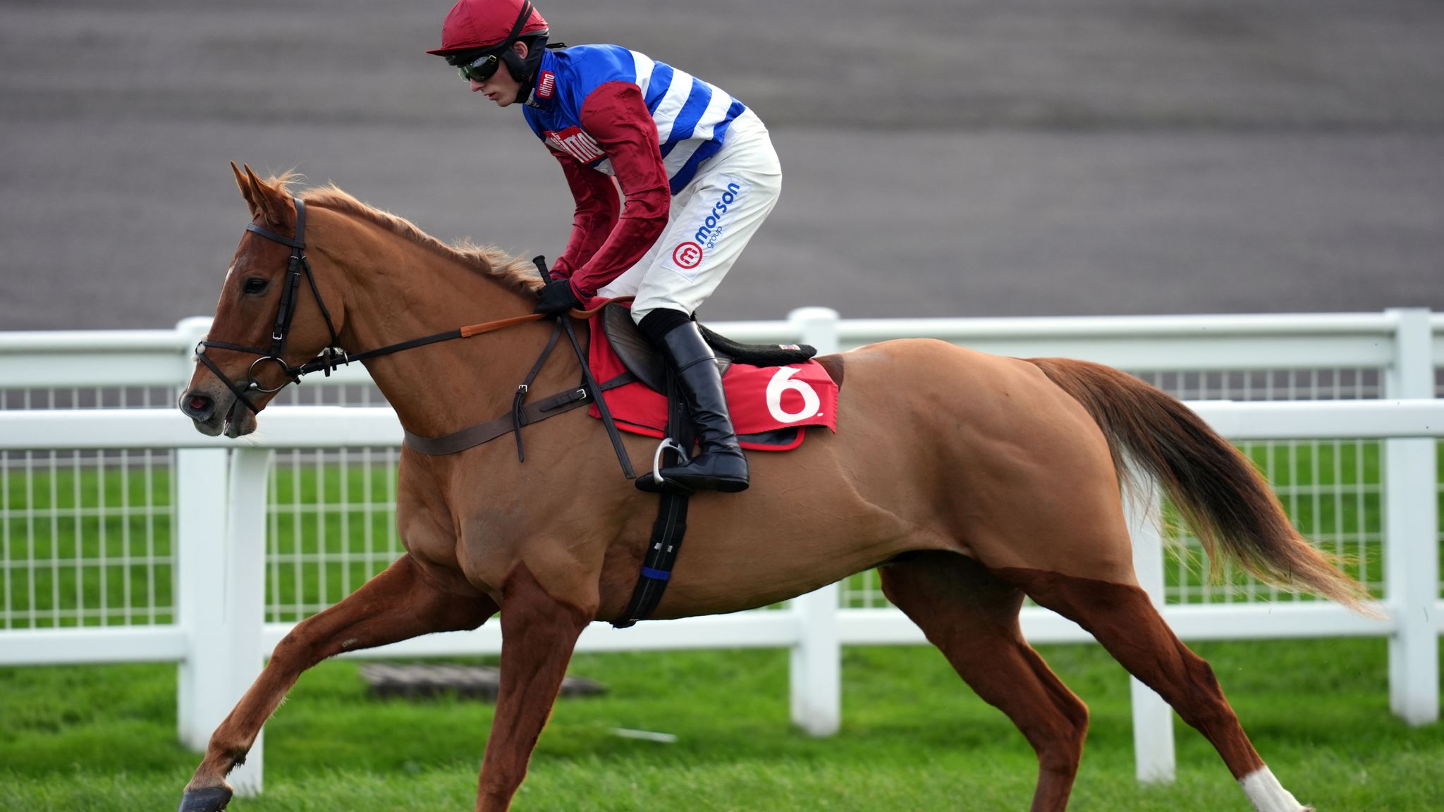skysports.com - Today on Sky Sports Racing: Quebecois looks to get off the mark over fences at Newbury