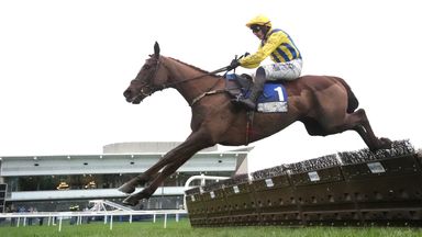 Doctor Steinberg proved very good under Paul Townend