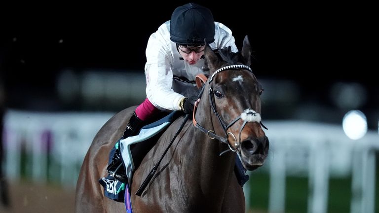 Constitution Hill, ridden by Oisin Murphy, on the way to winning the SBK Road To Cheltenham Novice Stakes at Southwell