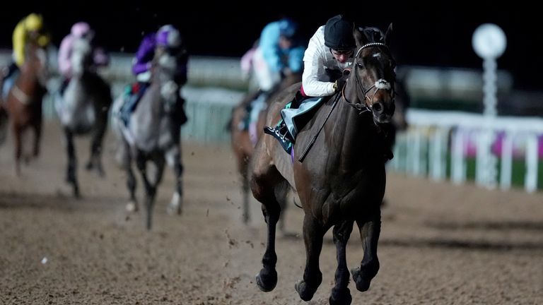 Constitution Hill, ridden by Oisin Murphy, on the way to winning the the SBK Road To Cheltenham Novice Stakes at Southwell