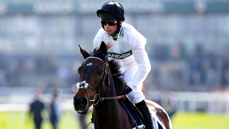 Constitution Hill ruled out of Champion Hurdle as hurdling career ends