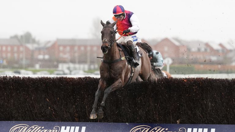 Haiti Couleurs is one of Britain's leading hopes for the Gold Cup