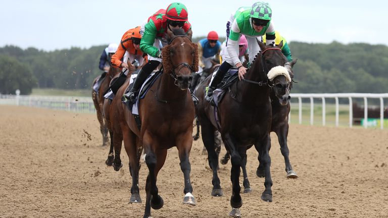 O diligente Harry (à esquerda) retorna esta tarde