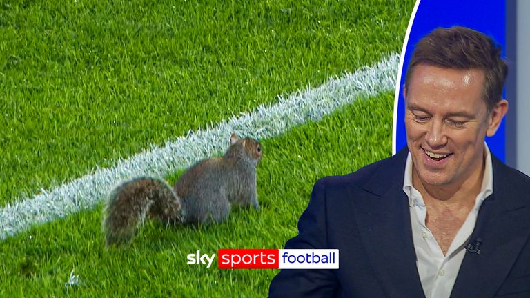 A squirrel holds up play during Hull vs Bristol City