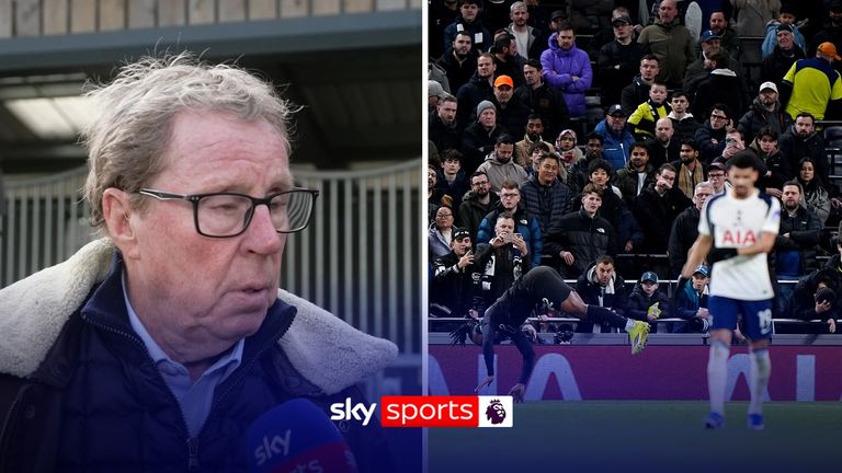 Harry Redknapp says he would have taken the Tottenham job if he had of been offered it.