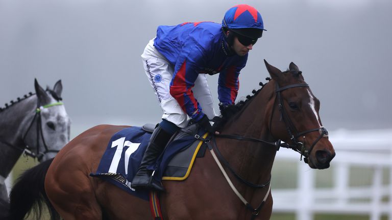 Josh The Boss is Declan's selection for the Greatwood Gold Cup