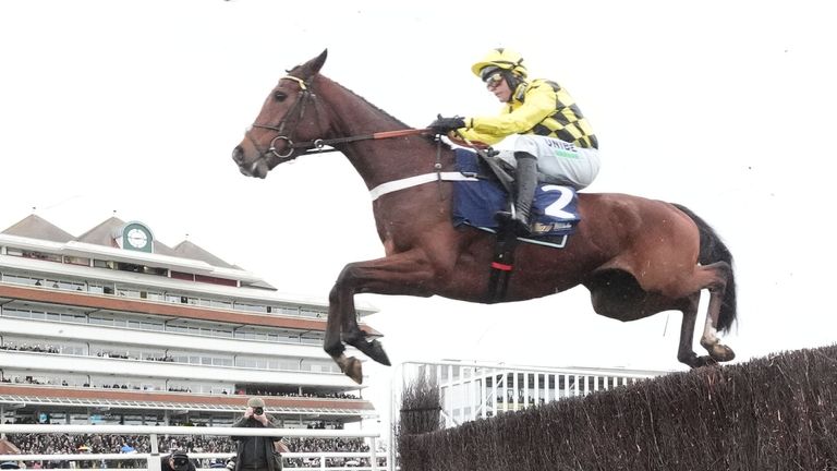 Lulamba clears the water jump at Newbury