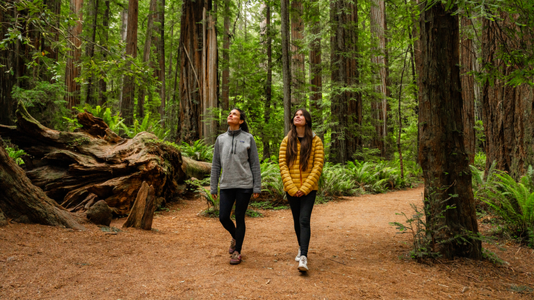 ‘’Embark on good times and cruise through California’s jaw-dropping natural landscapes. Photo: More Than Just Parks’’ 