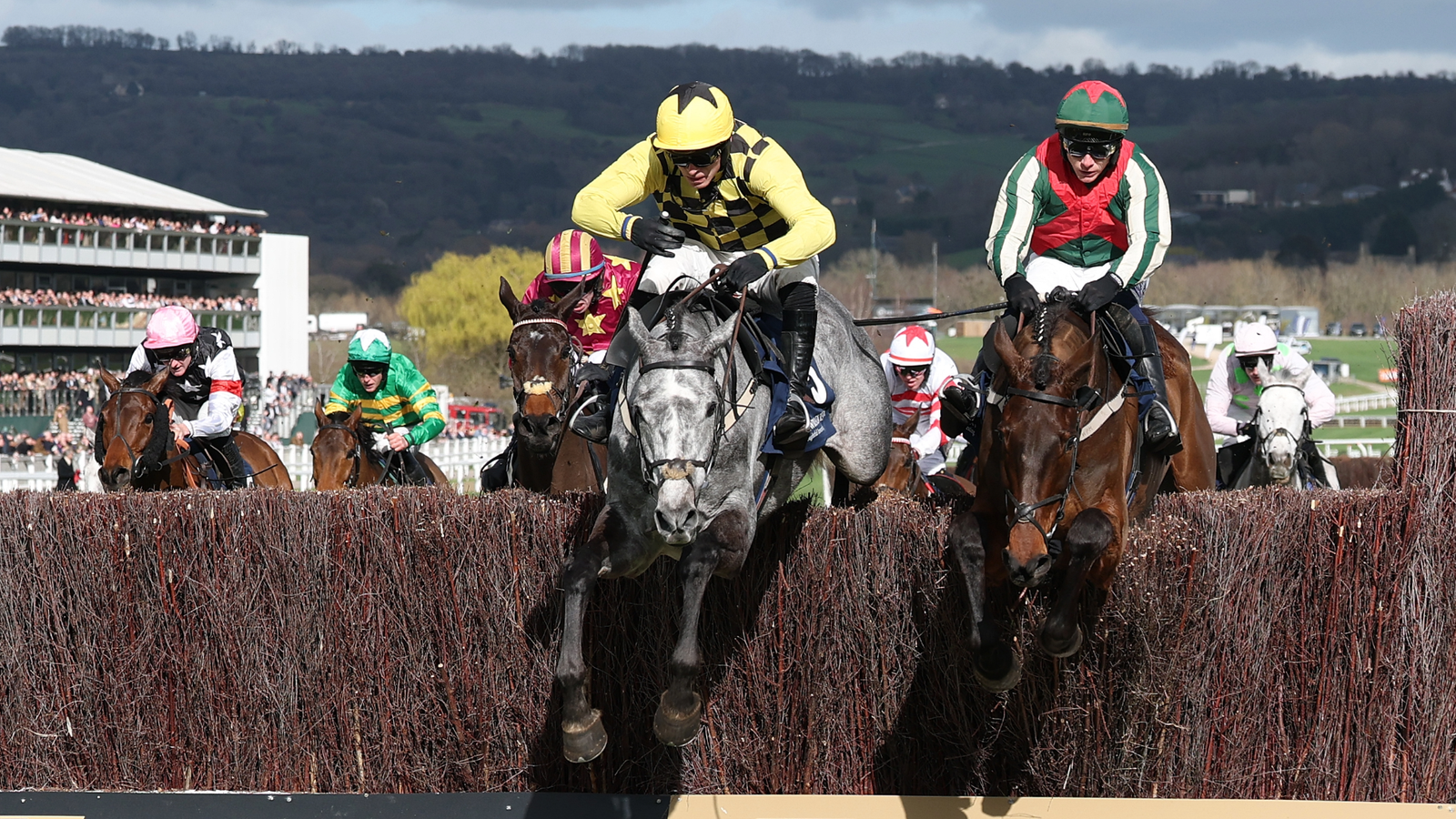Cheltenham Festival: Kitzbuhel climbs to the top of Brown Advisory mountain