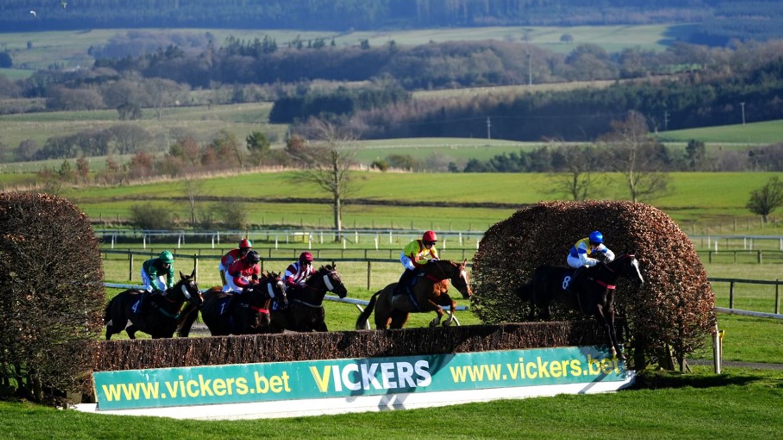 Vandaag bij Sky Sports Racing: Jo Coko neemt het op tegen Planned Paradise in Hexham | Racenieuws