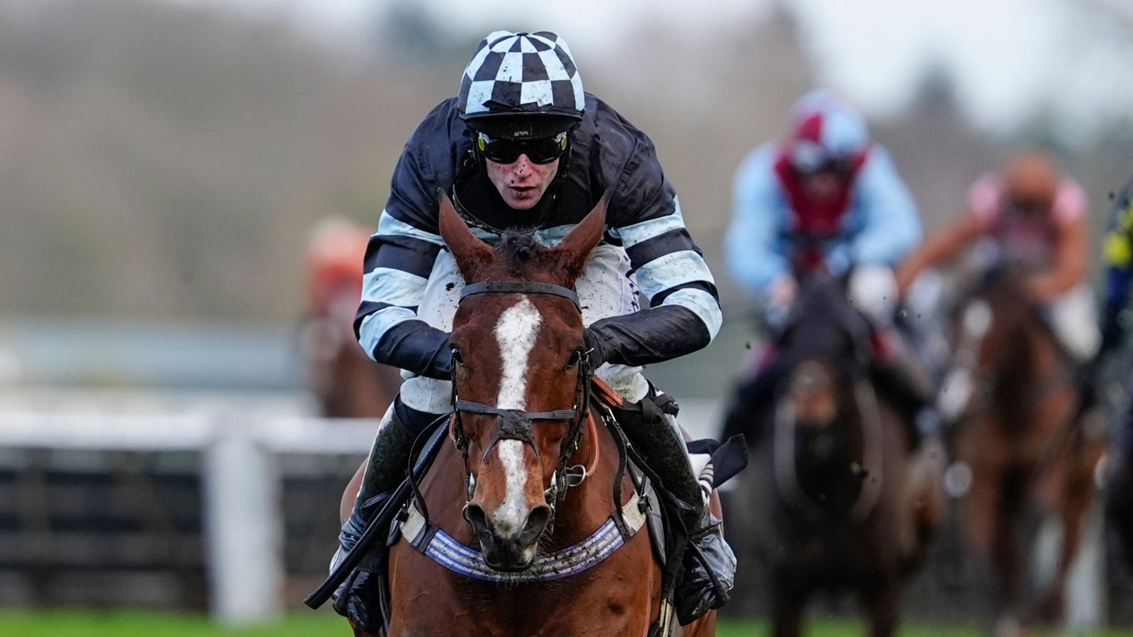 Today on Sky Sports Racing: Came From Nowhere chases hat-trick at Newbury