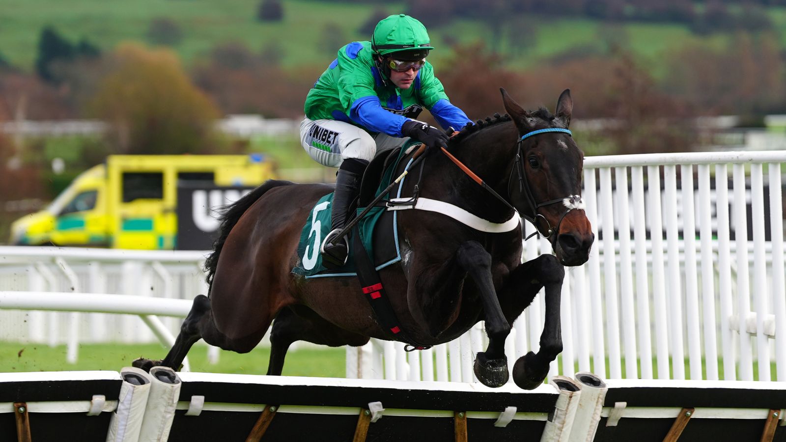 Cheltenham tips: Old Park Star tipped to get home team off to perfect start in the Supreme Novices’ Hurdle