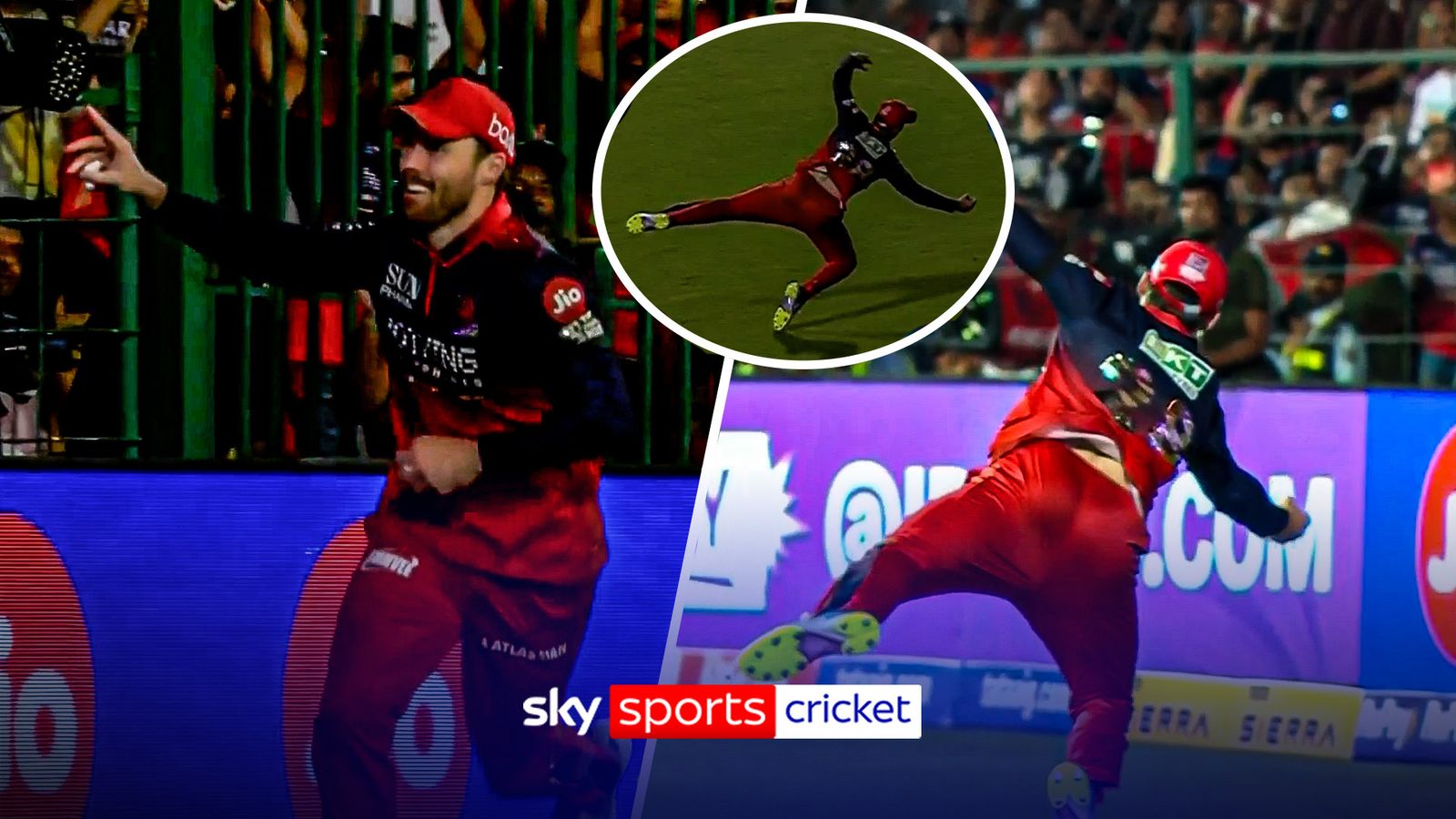IPL: Phil Salt dives for a sensational catch in the IPL for Royal Challengers Bengaluru