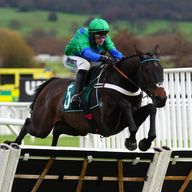 Old Park Star is the market favourite for the Supreme