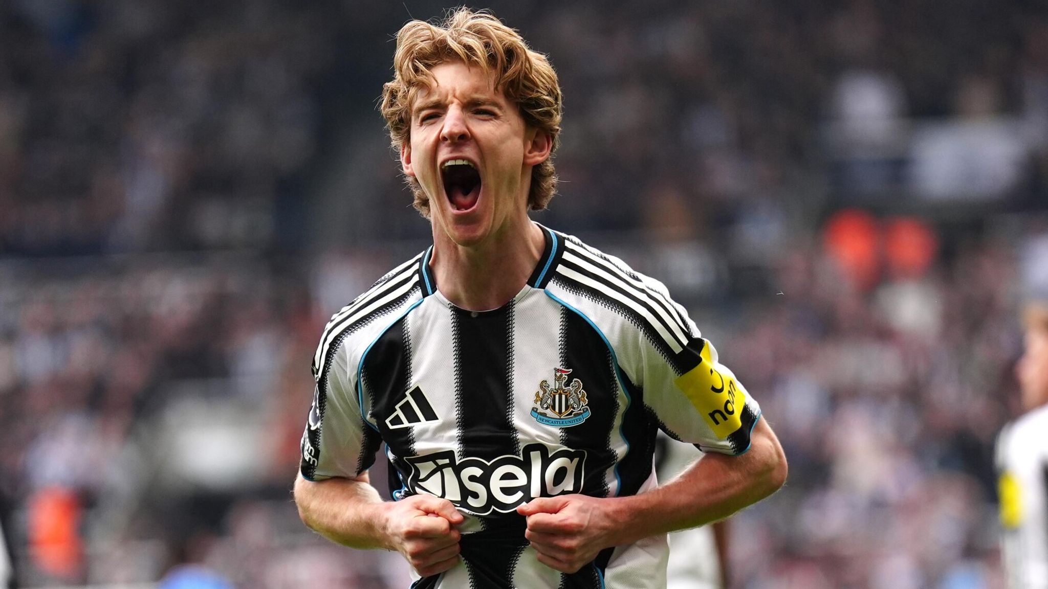 Anthony Gordon, Sandro Tonali and Tino Livramento: Newcastle trio could leave in summer transfer window