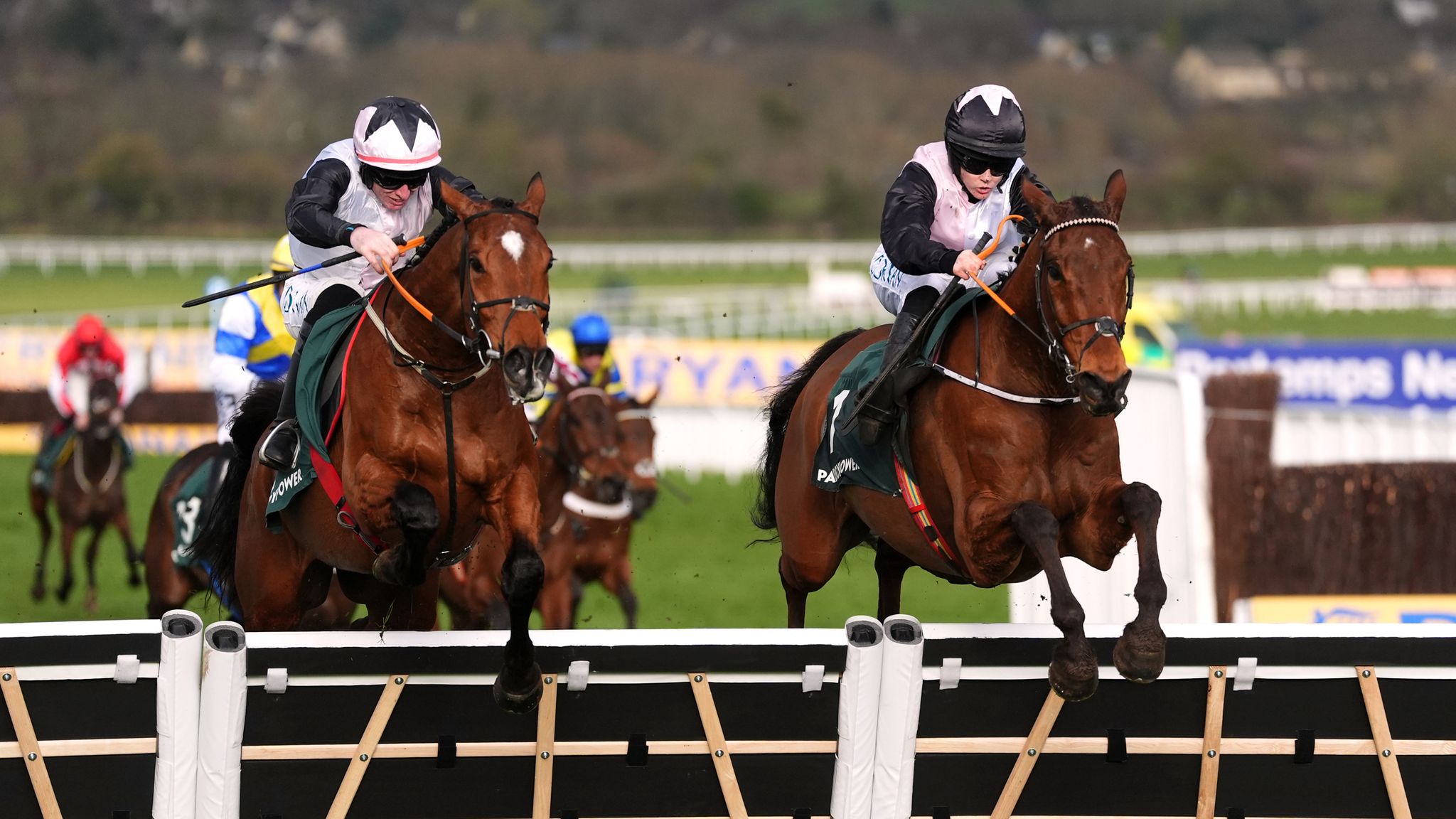 Cheltenham tips: Bob Olinger fancied to retain Stayers' Hurdle crown ...
