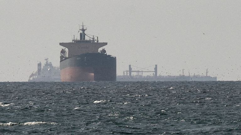FILE PHOTO: Cargo ships in the Gulf, near the Strait of Hormuz, as seen from northern Ras al-Khaimah, near the border with Oman’s Musandam g