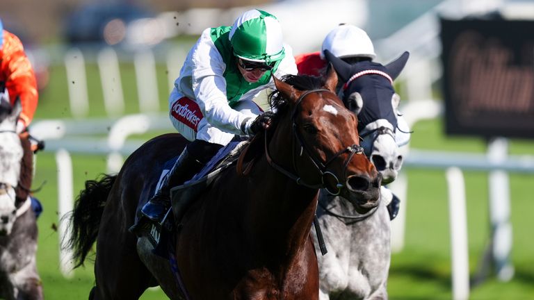Aramram ridden by Sean Levey on their way to winning the William Hill Price Boosts Every Day Cammidge Trophy 